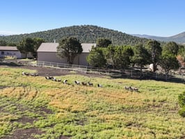 9665 N Stagecoach Dr, Williams - 106.jpg