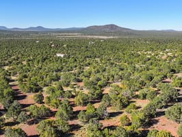 9665 N Stagecoach Dr, Williams - 112.jpg