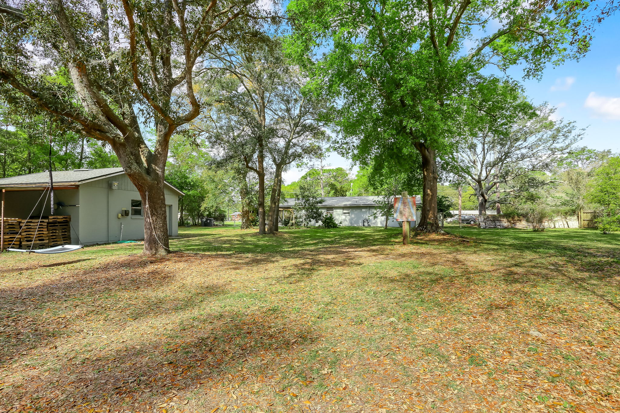 Back Yard