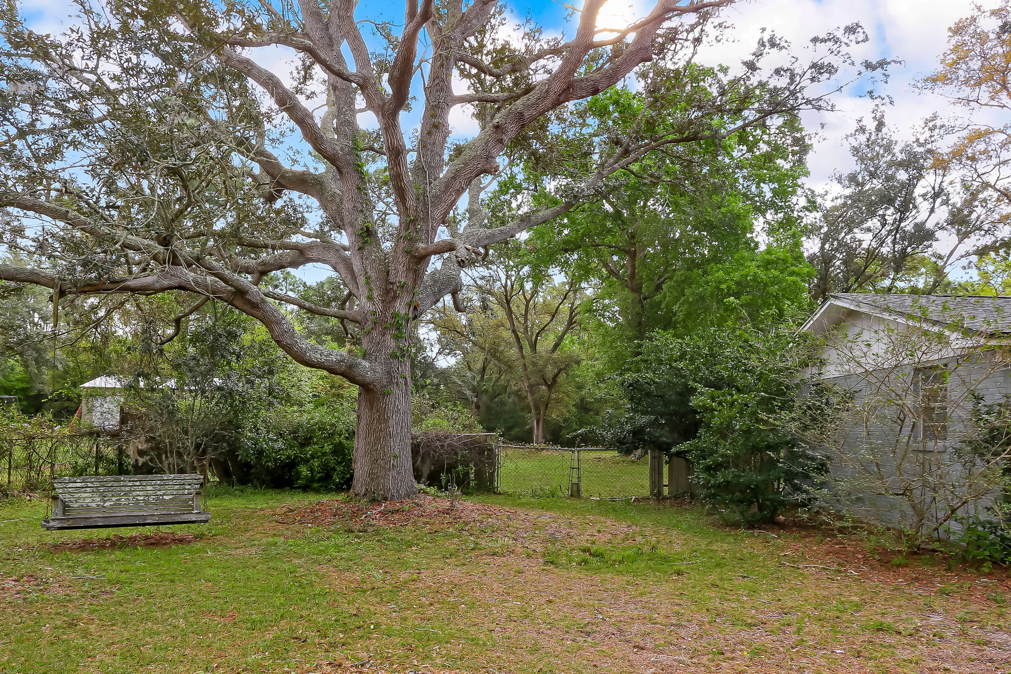 Front Yard