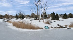  Photo 47