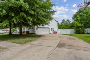  Photo 41