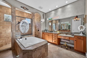 Primary Bathroom 3 of 4