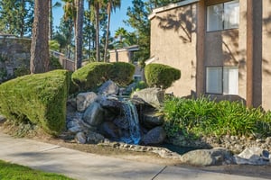 S Mountain Ave-0310-901.jpg
