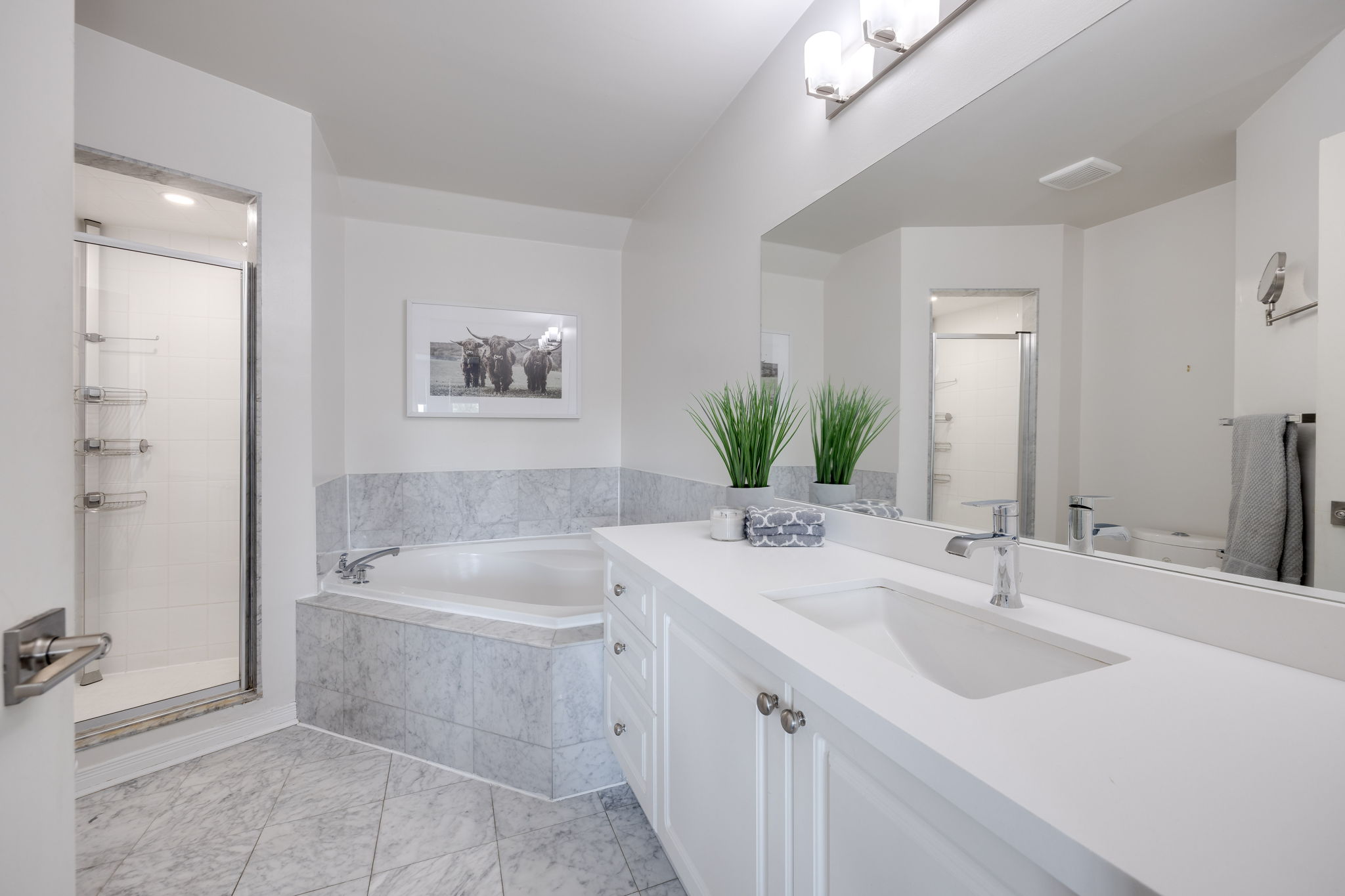 Toronto property showcase — delivered property photograph 21