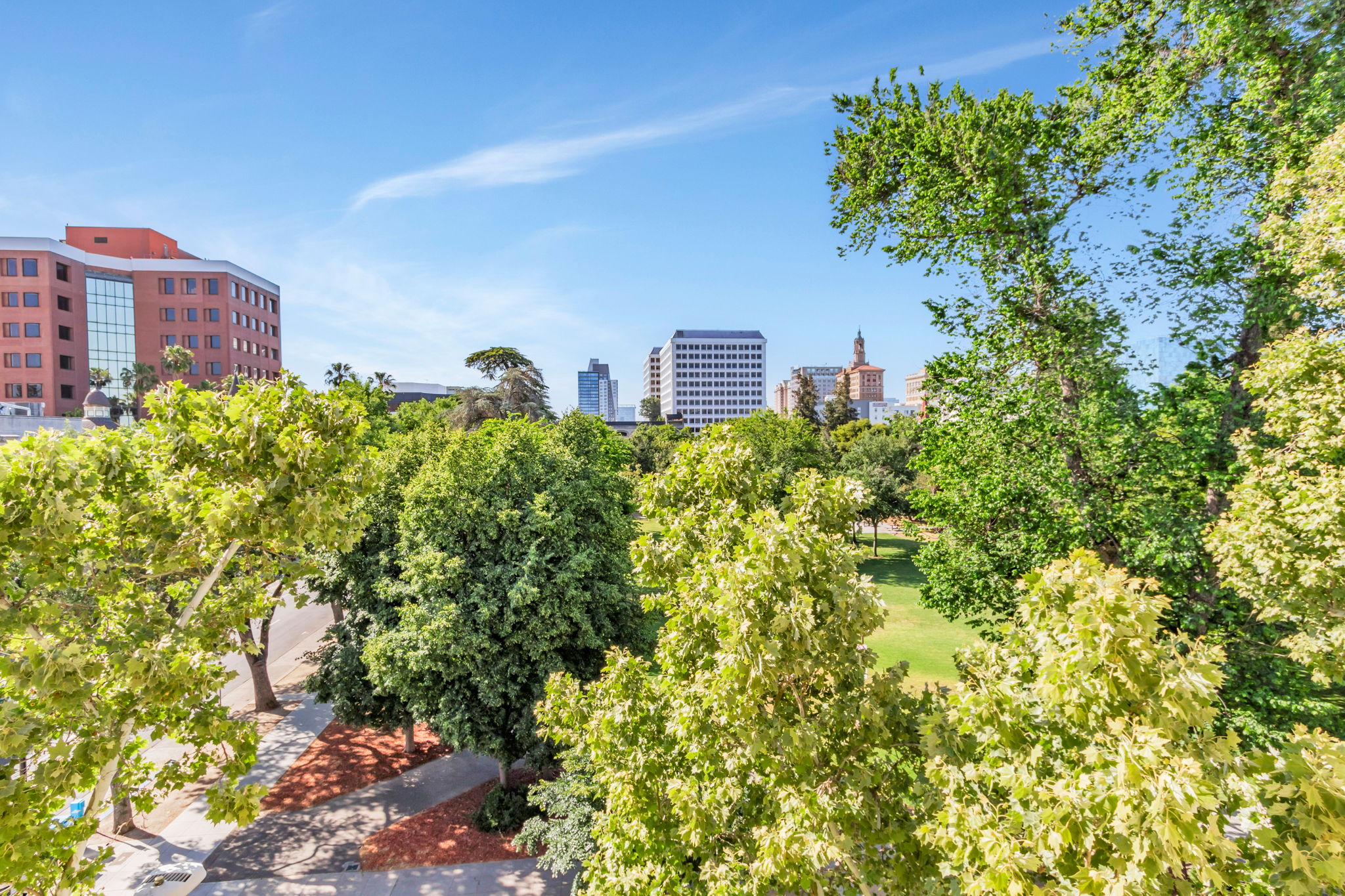 St James park view