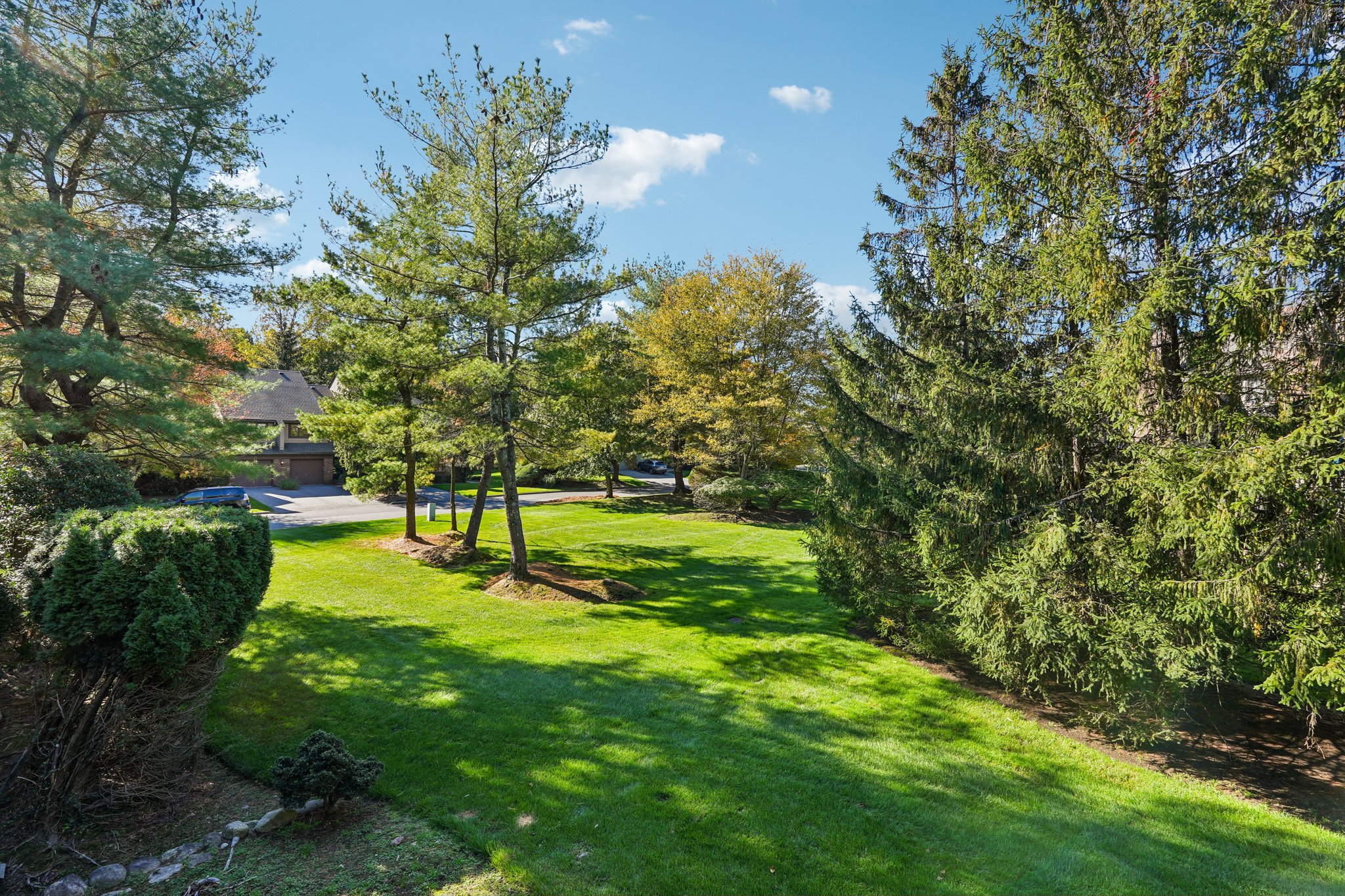 Frost Ln-S1710-050.jpg