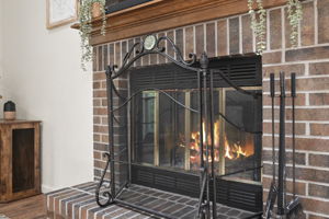 Fireplace Detail