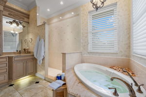 Primary Bathroom 2 of 3