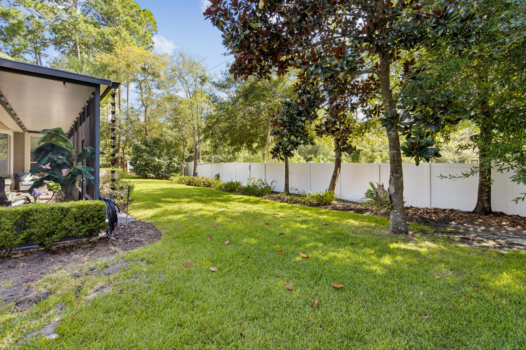 Backyard