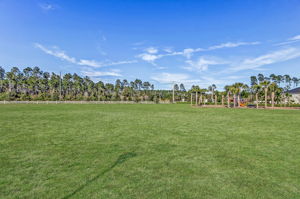 ...and community green space, it does not disappoint !