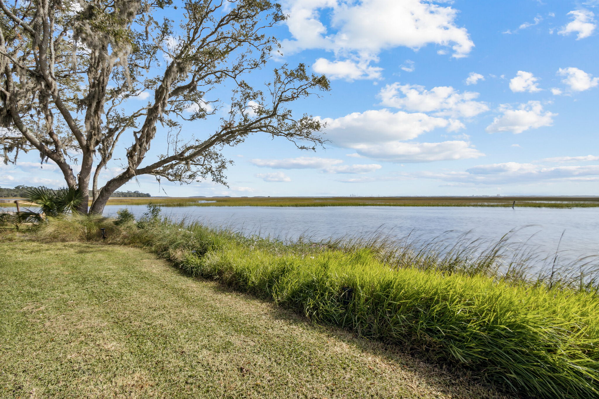 Marsh View