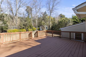 Deck Overlooking Backyard