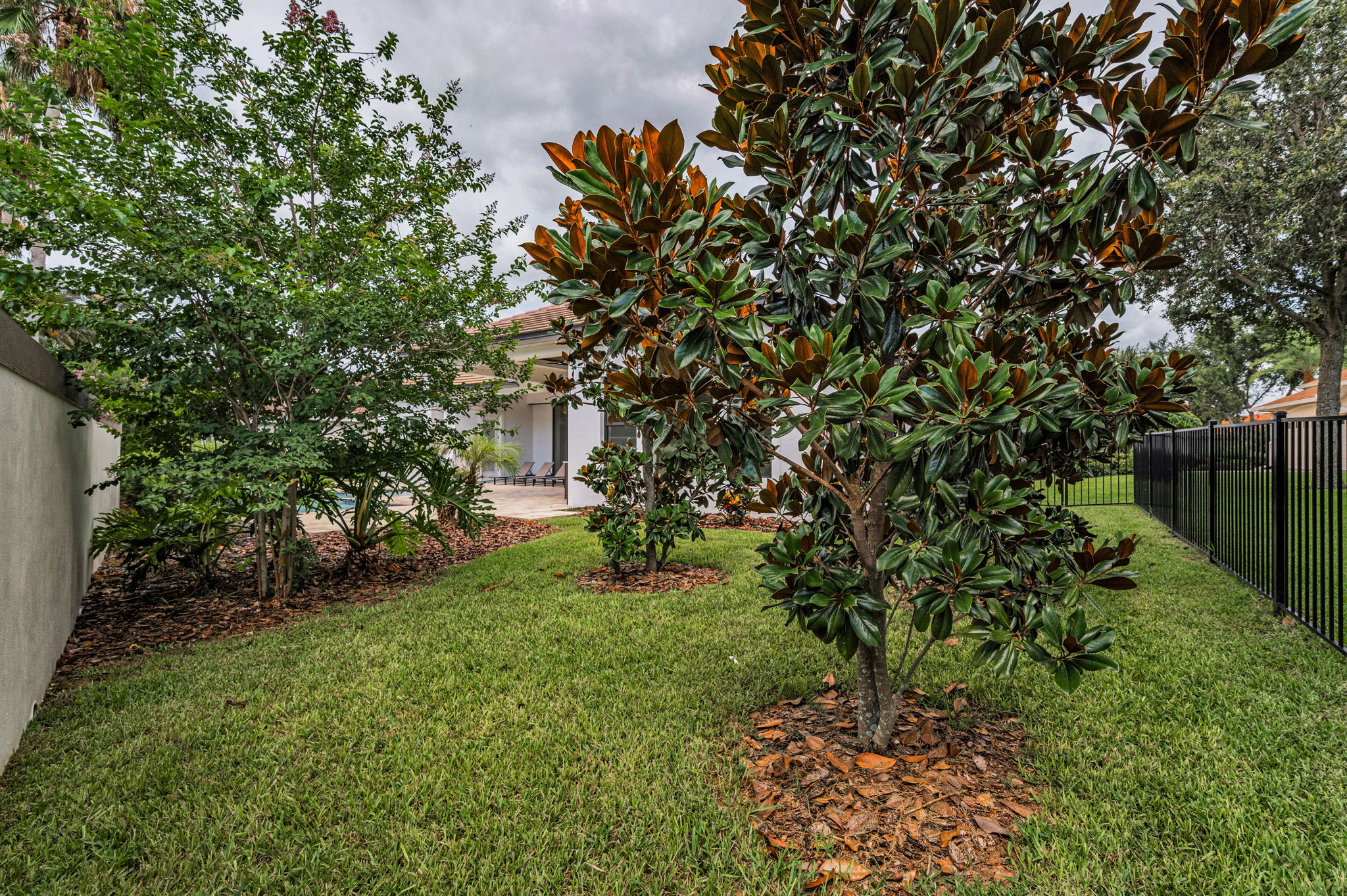 Backyard3