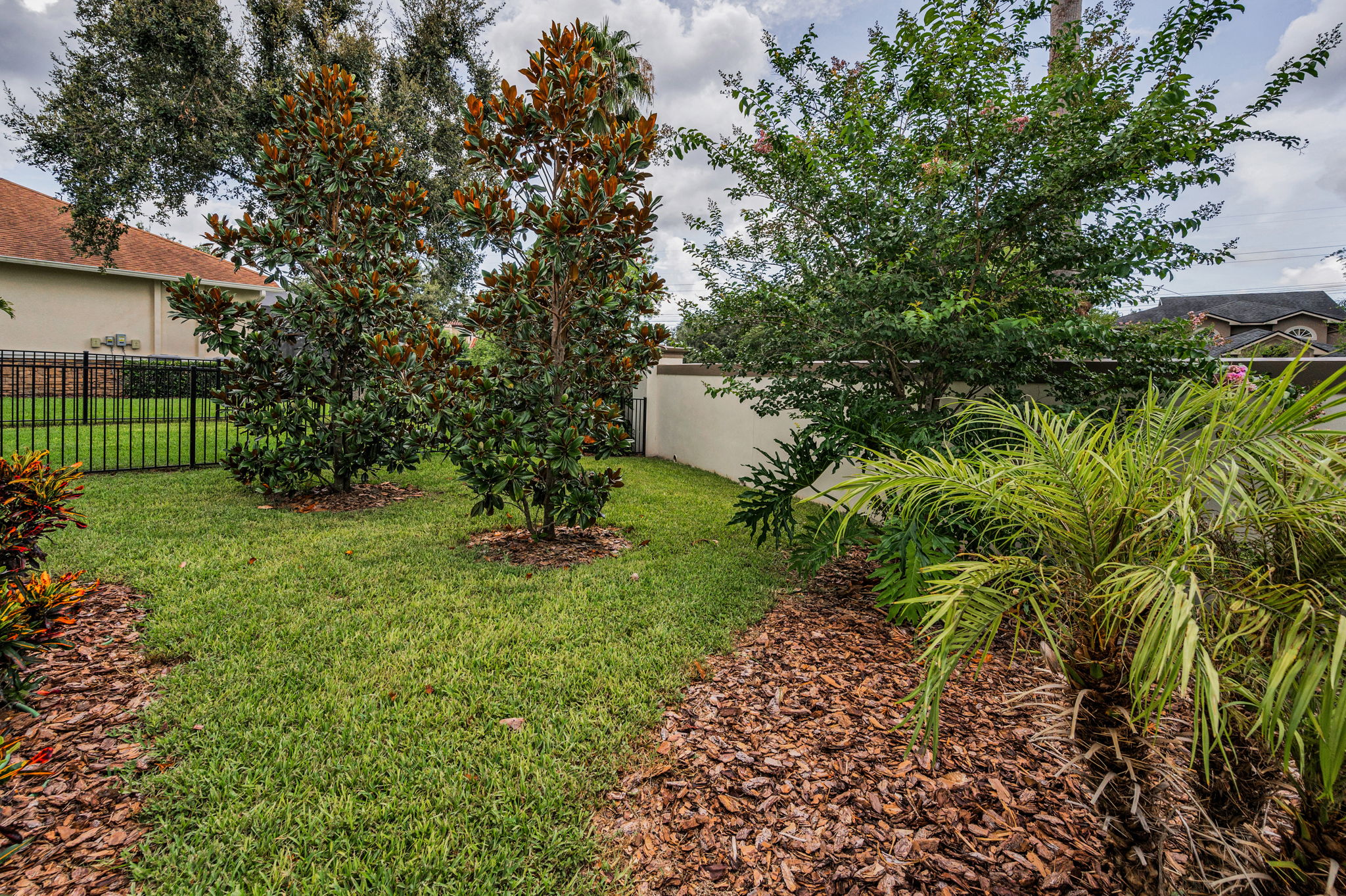 Backyard4