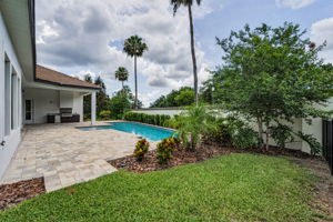 Backyard1
