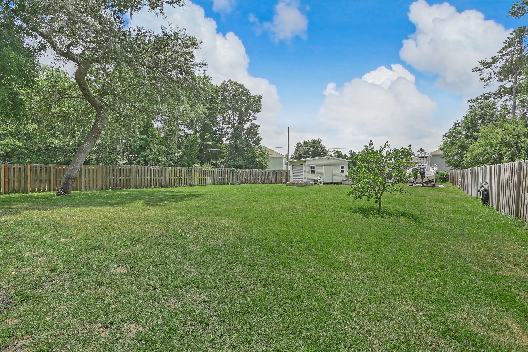 Back Yard