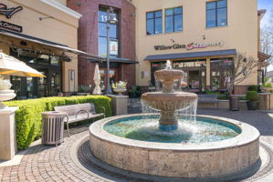 Downtown Willow Geln
