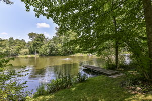 Lake dock