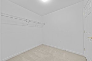  Photo 51