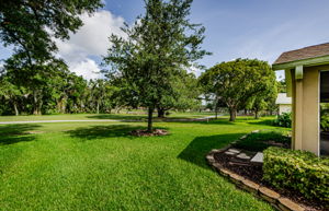Backyard 1