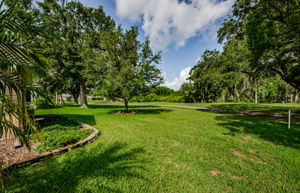 Backyard 4