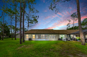 Backyard 3