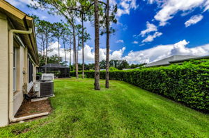 Backyard 1
