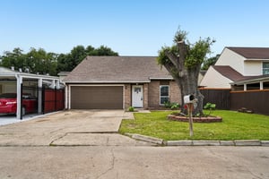 Debbie Ln-S1604-002.jpg