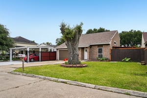 Debbie Ln-S1604-003.jpg