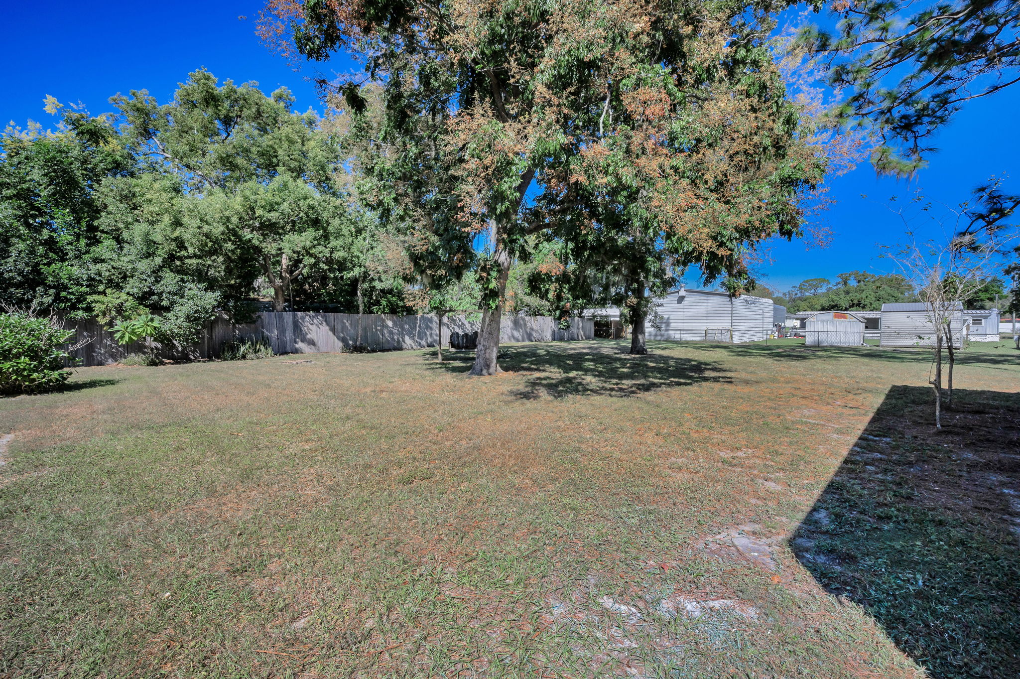 Backyard1