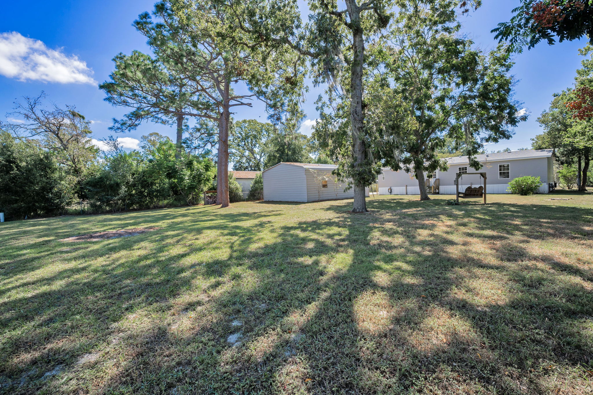 Backyard4
