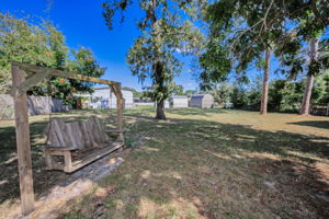 Backyard3