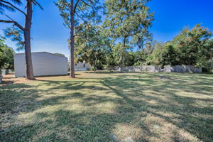 Backyard6