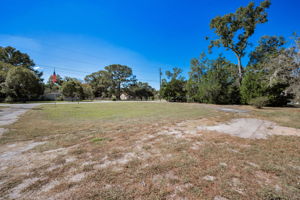 Frontyard