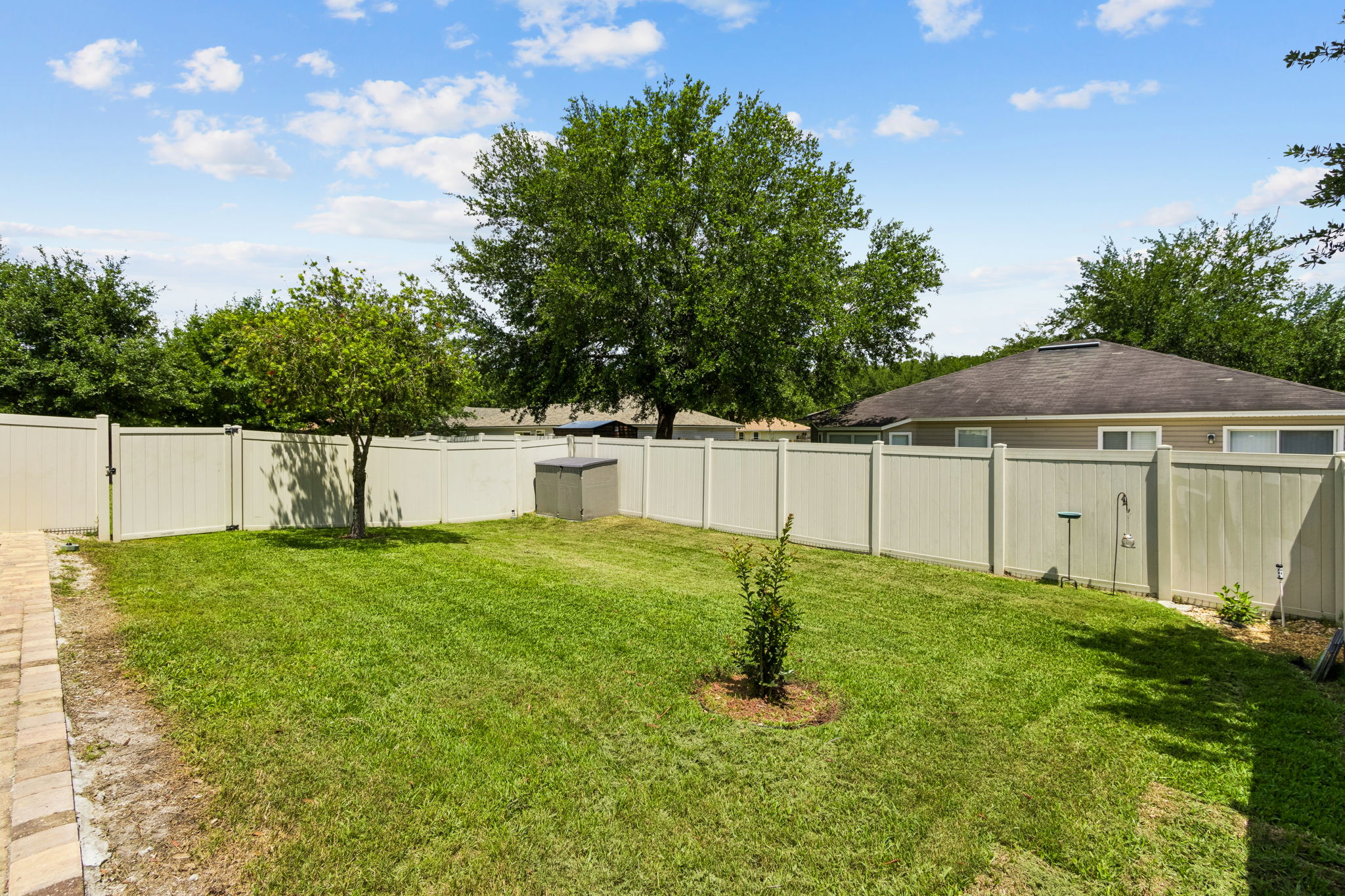 Backyard