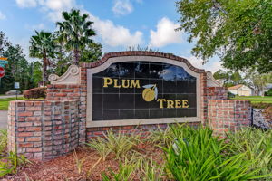 Plum Tree