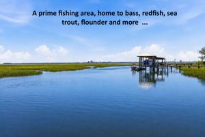 These waters invite exceptional fishing, with bass, redfish, sea trout, flounder and more close to home