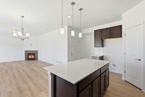 025_DSC08635_with_fire