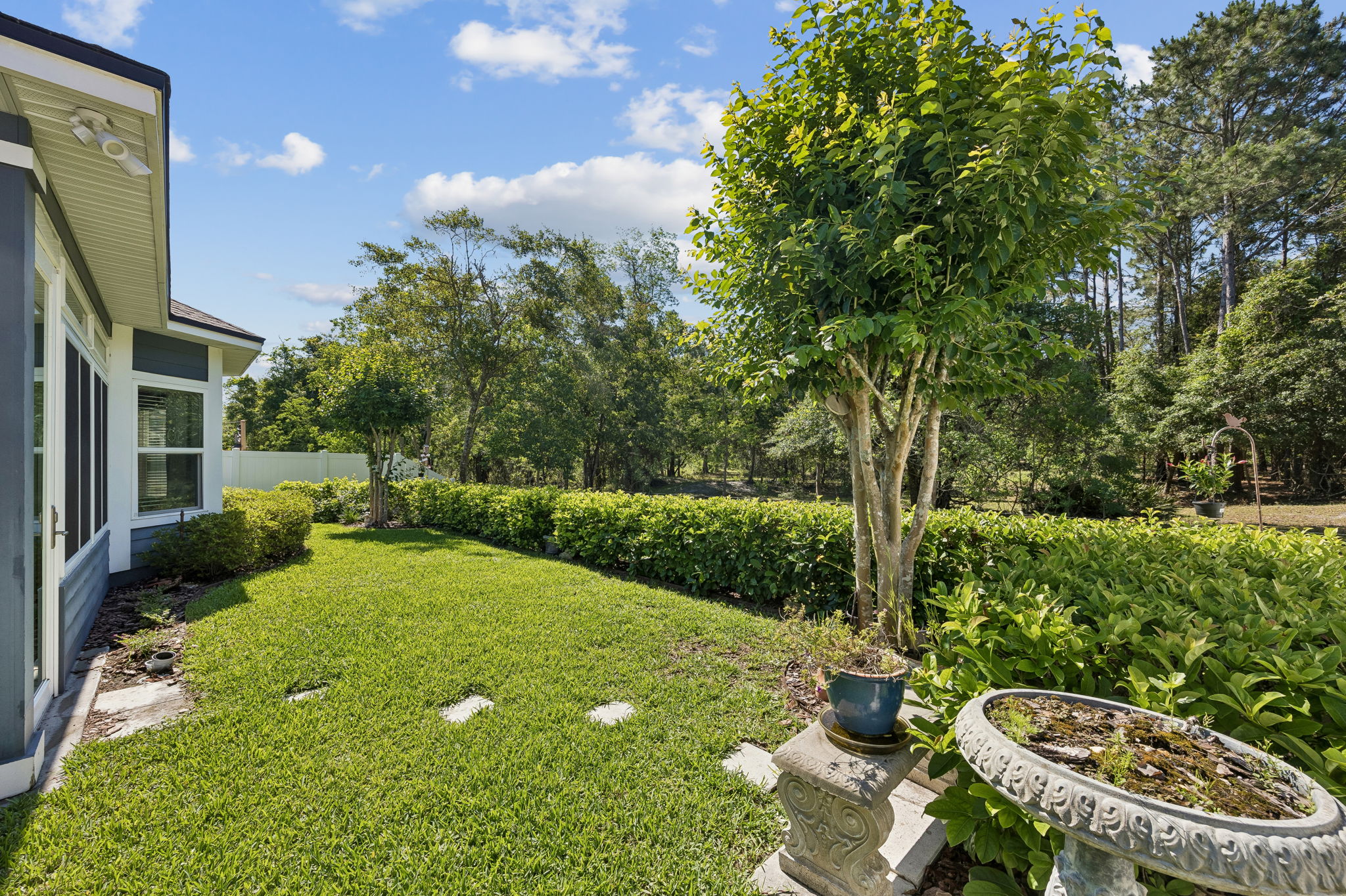 Backyard