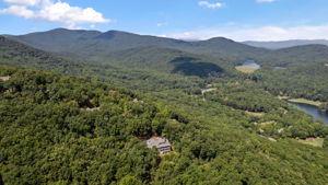  Photo 95