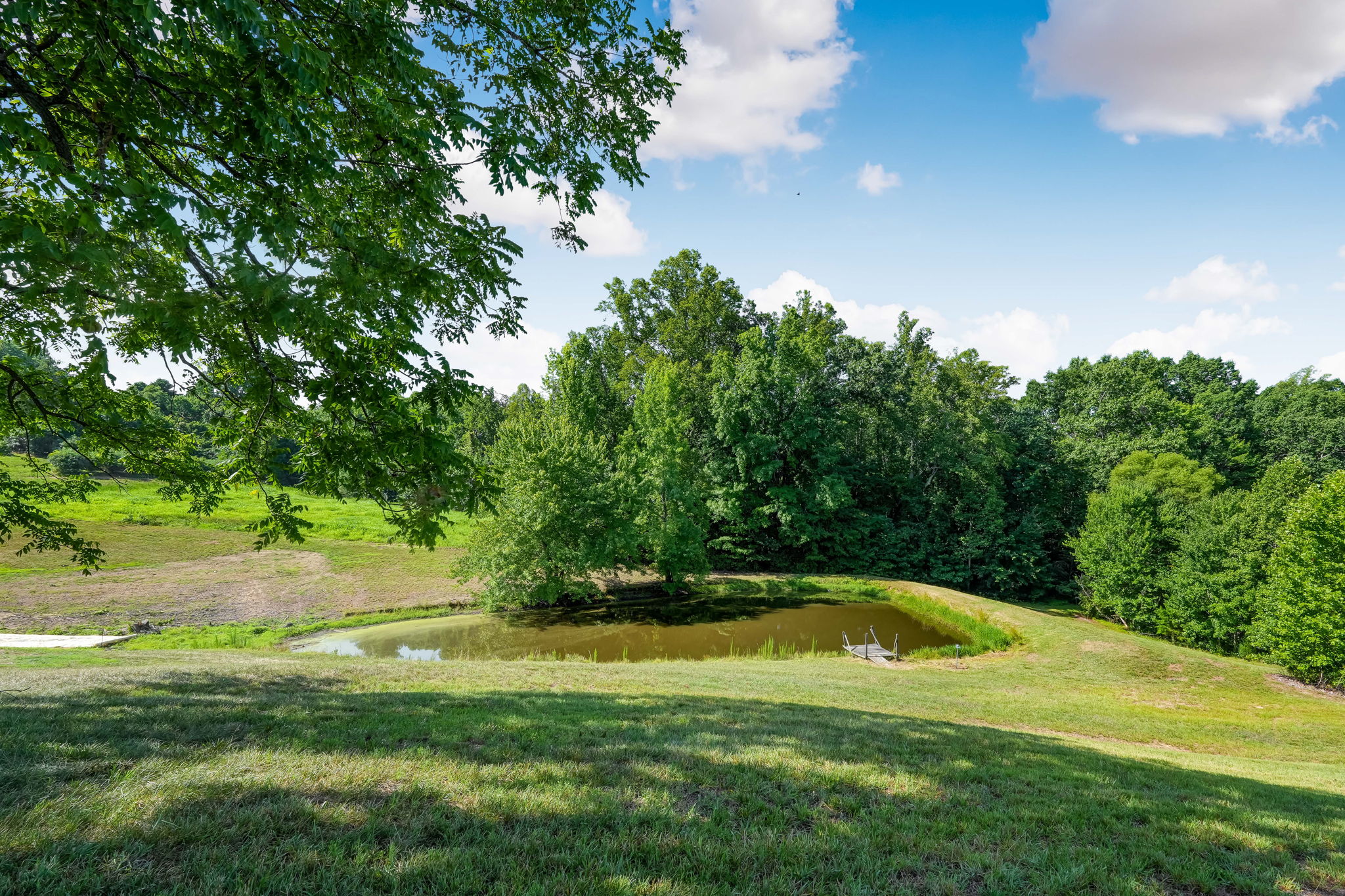 Pond