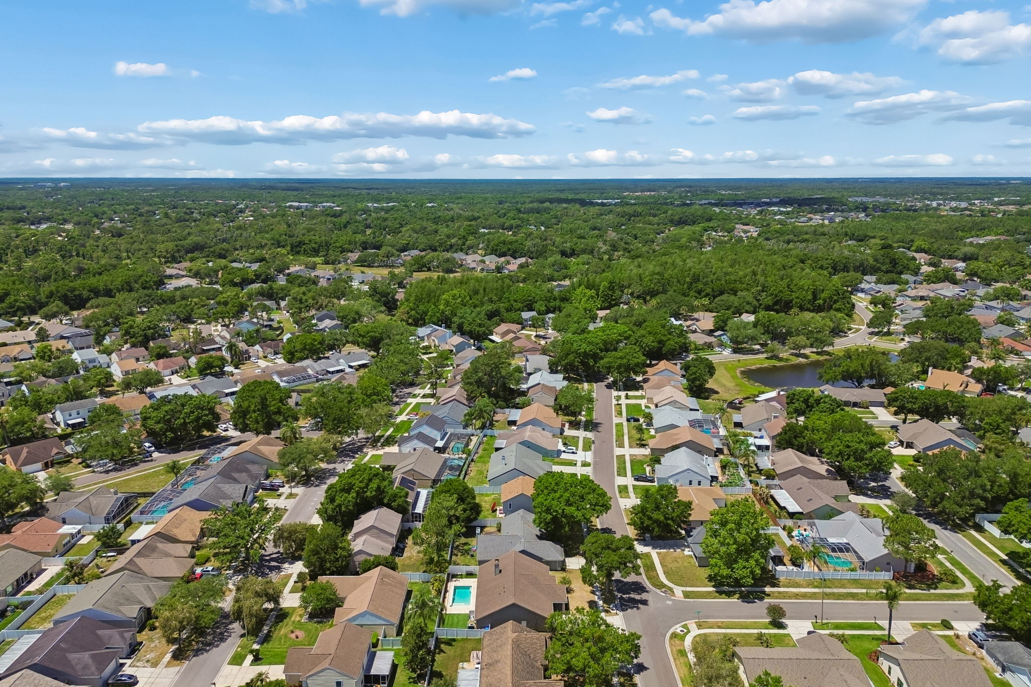 DJI_0163