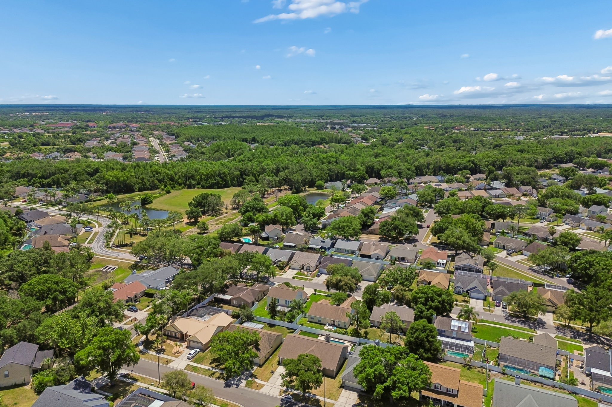 DJI_0169