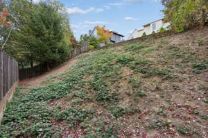 157.JPG