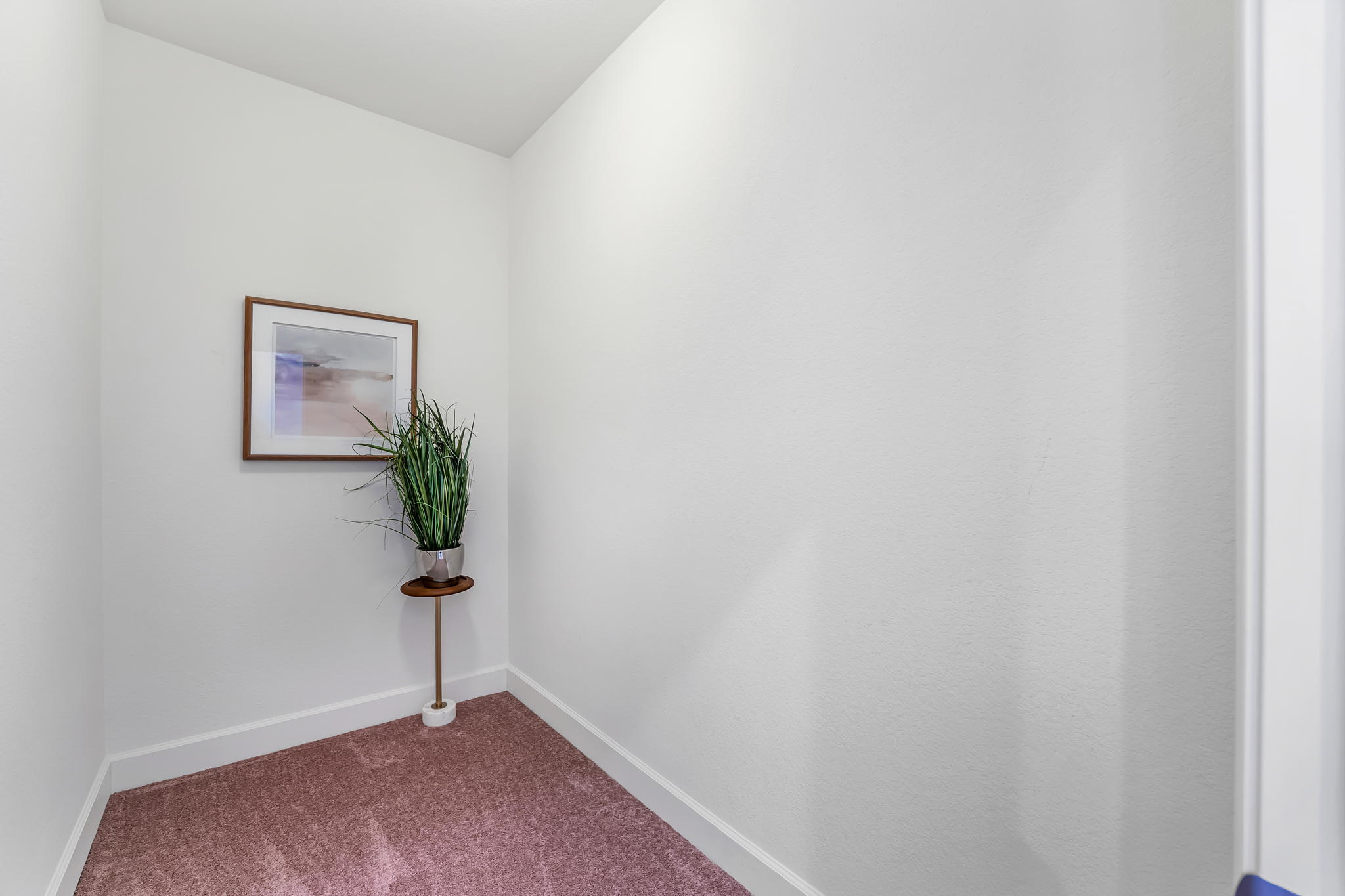 9739 Pachuca Dr, Reno, NV 89521, USA Photo 26