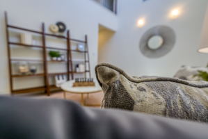 9739 Pachuca Dr, Reno, NV 89521, USA Photo 41