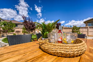 9739 Pachuca Dr, Reno, NV 89521, USA Photo 46