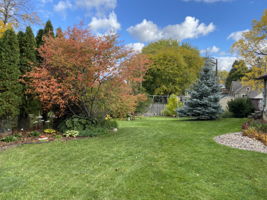  Photo 33