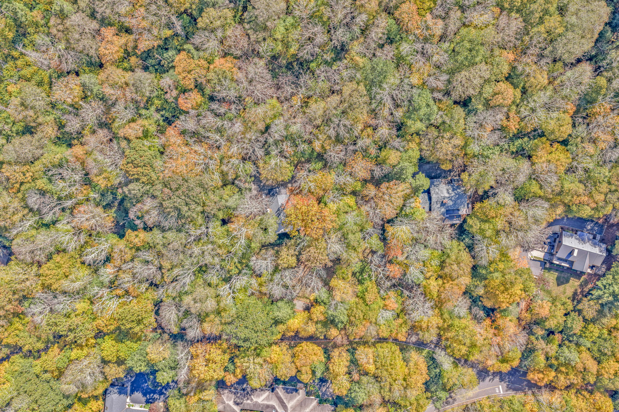 3600x2400